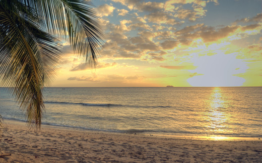 504292 (a): :2560x1600